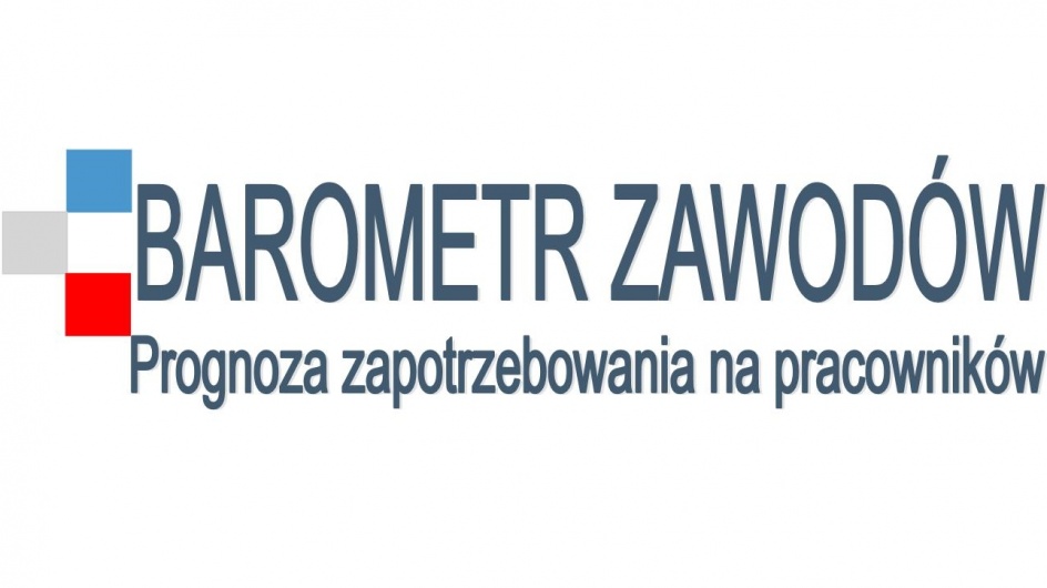 Zdjęcie artykułu Ankieta dla pracodawców